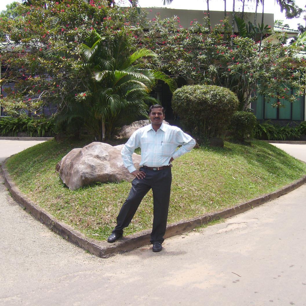 Biomedical Engineer