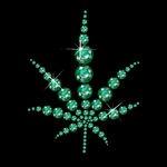 We Consult to States & Companies With over 25 years Marijuana Legilazation Experiance We Proudly Partnered with
Ed Rosenthal & Chris Conrad ASA, The Answer Page