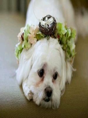 pantano40's profile picture. No failure.. Kep lm and Trust ME