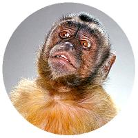Альбина Солинов (@vonilosanibla) 's Twitter Profile Photo
