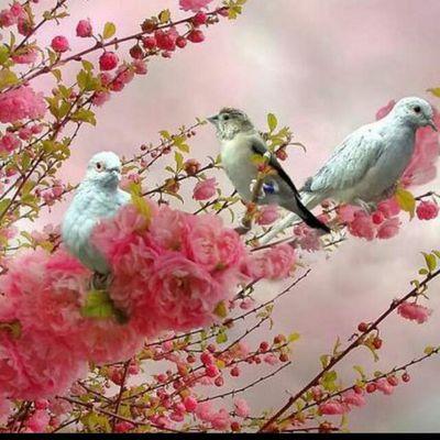 ‏‏‏‏‏طويلة الصمت قليلة البوح وغنية بالله عن الناس اجمعين