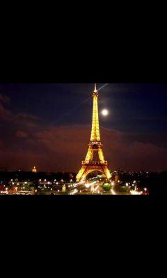 layla142137's profile picture. 