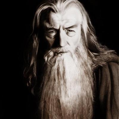 Seasoned traveler, connoisseur of fine pipeweed, and an expert at not letting people pass. Need a wizard? I'm your man