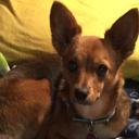 Ginger Hope - @gingerhope_ - Twitter