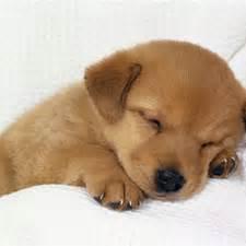 GoldCoolman2014's profile picture. 