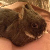 loadrunner9's profile picture. 