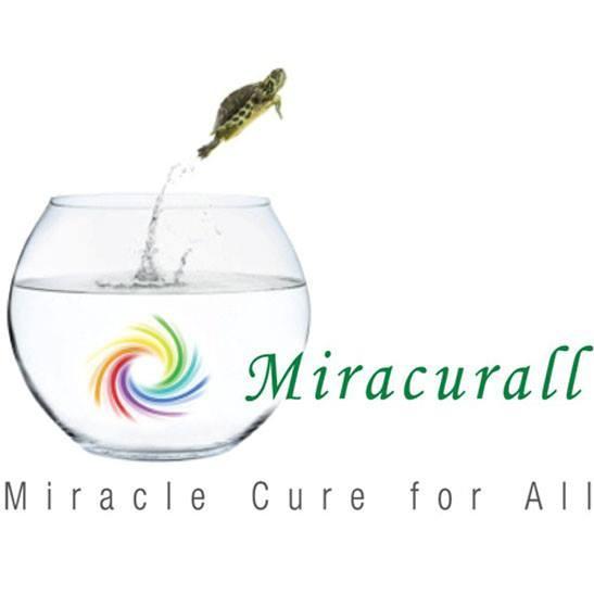 Miracurall caters to development needs of students and professionals, through conducting workshops around 
soft skills, behavioural & corporate trainings