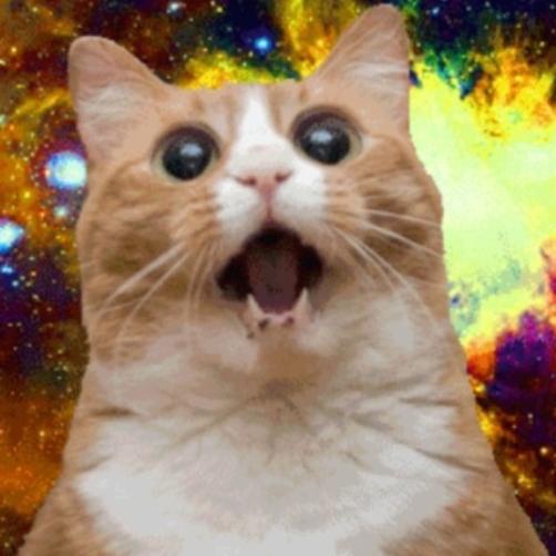 infectedfangirl's profile picture. 