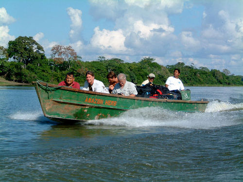 wesavetheamazon's profile picture. The Amazon Herb Company has the power to save the Amazon with pure health and our help.  Will you join us?