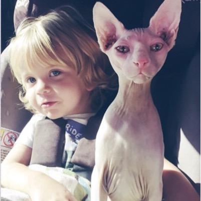 My name is Blaise I'm 3 years old and growing everyday! My daddy's Fronzilla and my best friend is a kitten named Carl.