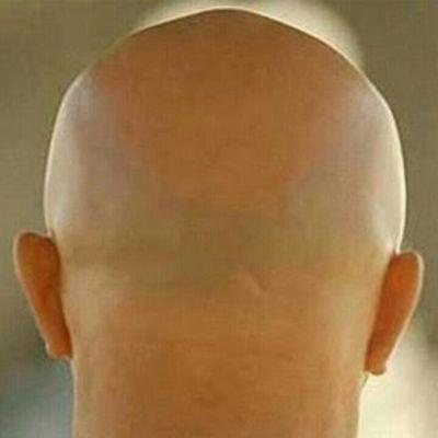 الاسود الجائعة لاتبحث عن الفرائس الهزيلة