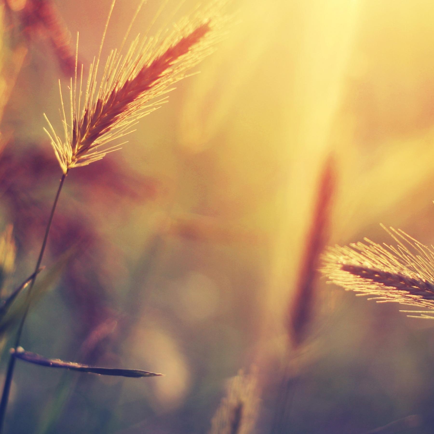 LihoyGnida's profile picture. 