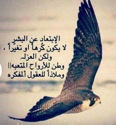 علی كثر ما عشنا وشفنا من الايام ** سمحنا من الدنيا وطابت خواطرنا