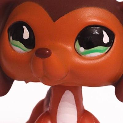 i love lps popular it rocks!!!!!!!!!!!