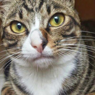 兵庫県赤穂市を基盤に軽貨物を個人で営んでます。主に中、長距離の緊急配送、スポット、単身学生ミニ引越しを扱っております。姫路・岡山周辺発着から全国対応致しております。ご用命は井上運送までお願い致します。TEL　0791-25-4152　まで
Xからもお気軽にどうぞ
#軽貨物　#緊急配送　#引越　#兵庫県