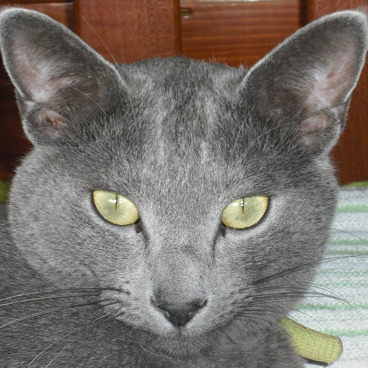 Jos_delOlmo's profile picture. Aires propios, brisas, vientos y huracanes... todo lo que levita al ser