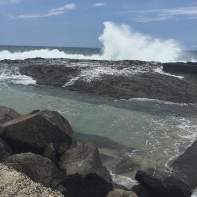 GillardMela's profile picture. 