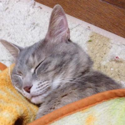 仕事と家庭メイン。アニメ漫画大好きしょうもない独り言ばかり発しているかもしれませんが、見守ってやってください。PS4/ID:mahi1980 KOF15にてやっとこ格ゲーに戻ってきました。