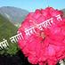 susan bhattarai (@su04453579) Twitter profile photo