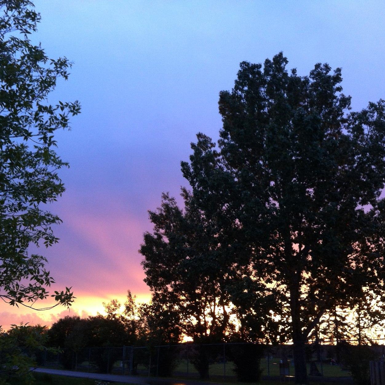 Emptywords7's profile picture. 