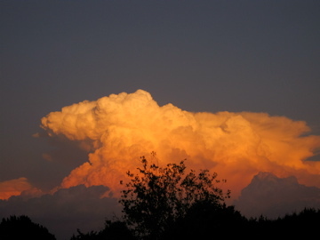 AnnaTranzer's profile picture. musician. dreamer. midnight reed-maker.