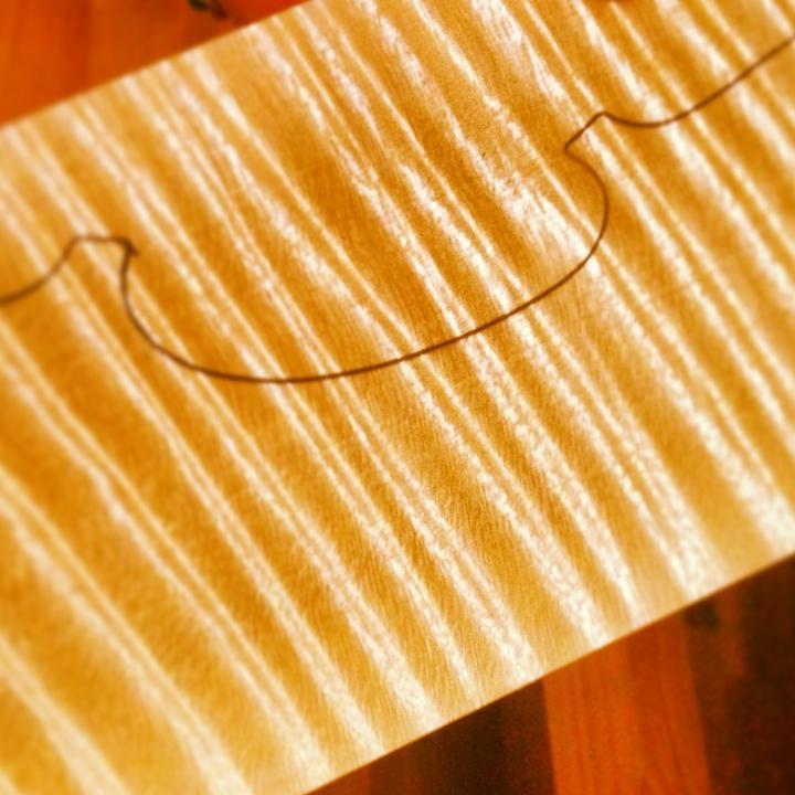 Supplier of maple and spruce for violins, violas, cellos and double bass. The wood comes from Carpathian Mountains, Romania.