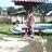 koyla_123's profile image