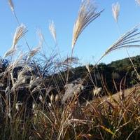 후조 (@sj3476) 's Twitter Profile