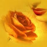 delvalle996's profile picture. DIOS  ES MI GUIA, MI LUZ Y MI SANADOR