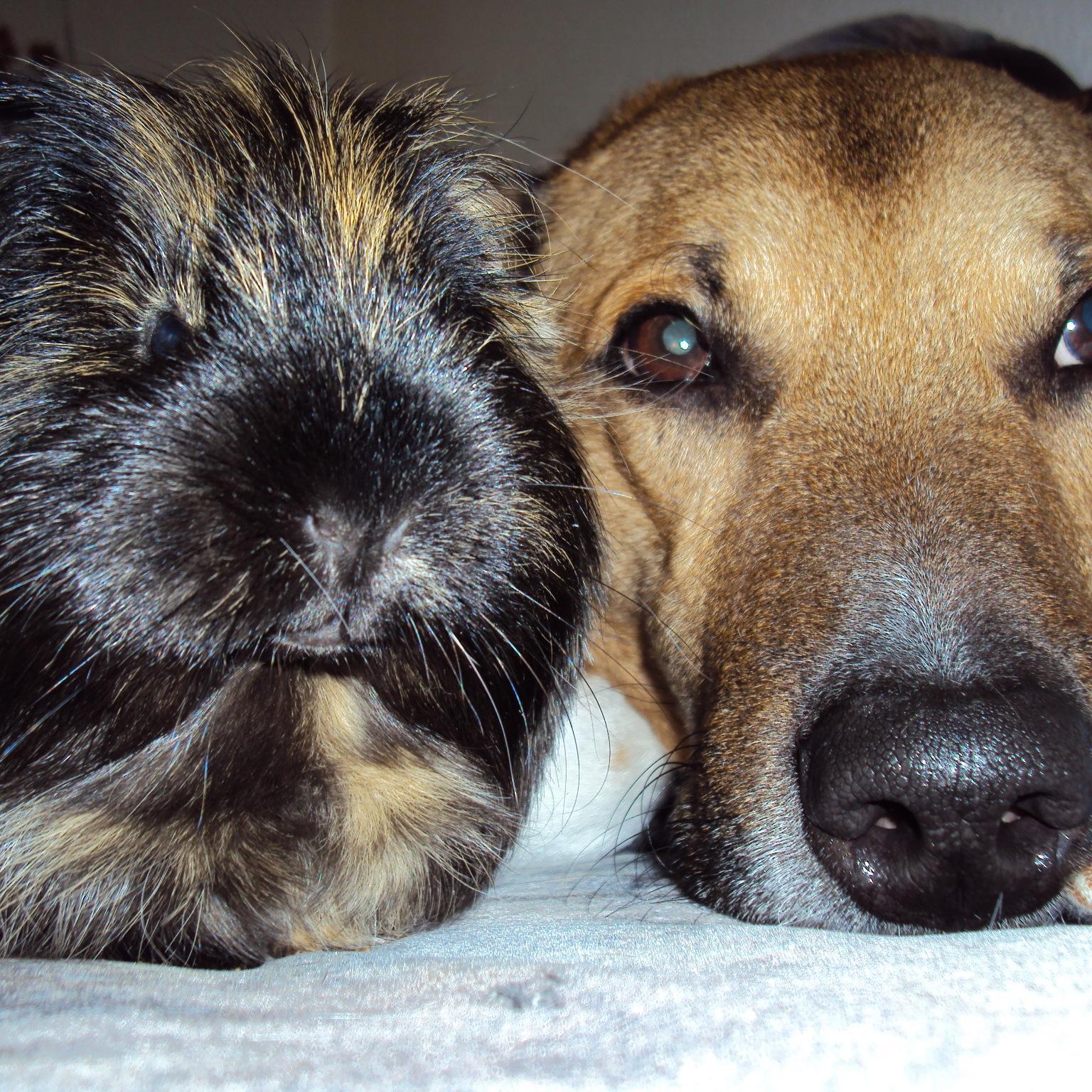 hansy441's profile picture. 