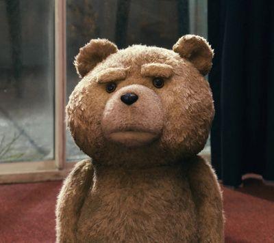 Mr Ted