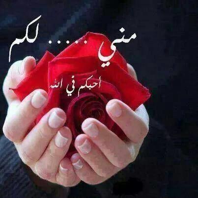 ‏‏العلم نور والجهل ظﻻم