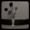 Olivia Prescott - @Olive888 - Twitter