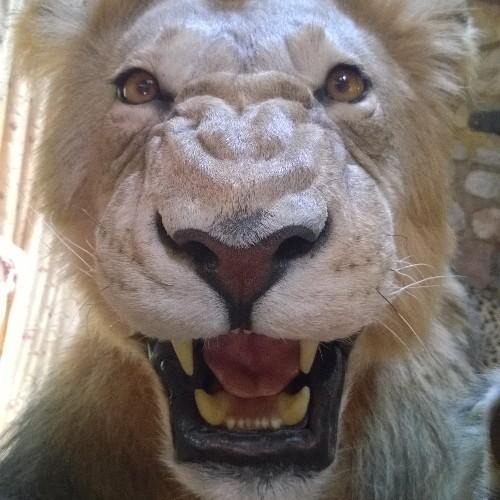 Yendorllerraf's profile picture. 