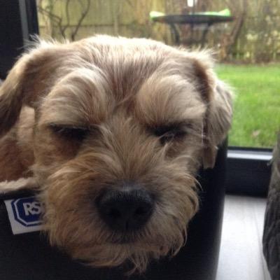 BMargaretb44 Profile Picture