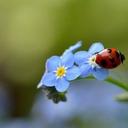 kamara ada - @kamara_ada - Twitter