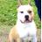 xisco_staff's profile image