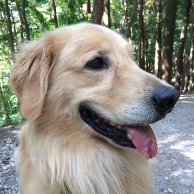 いつか６人揃ったSMAPが見たいゆる〜いお茶の間SMAPファン。中居ヅラではないけど、中居くんの名誉回復が今の目標。私ややり取りのある人たちへの暴言・誹謗中傷は通報の上ブロックします。批判は一つの意見として受け止めますが、最低限の礼儀や節度は守りましょう。他人の名前を呼び捨てにする礼儀知らずは即座にアウトです♪