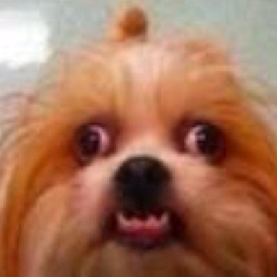 some_hobo's profile picture. 