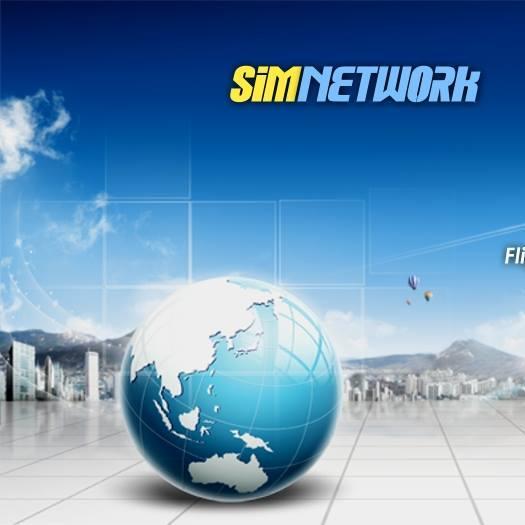 simnetwork's profile picture. fsx