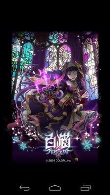 白猫、MC4勢