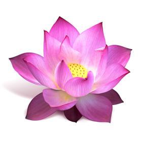 astro_notes_'s profile picture. like:平沢進