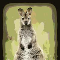 Unfunny Wallaby (@unfunnywallaby) Twitter profile photo