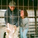 terry zerr - @lucyzerr - Twitter