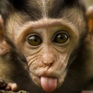 bayiimonyett's profile picture. god hate us all