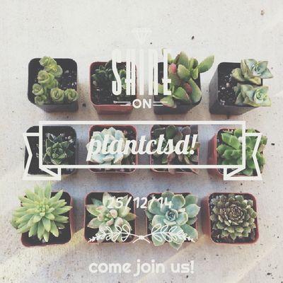 new closed agency all star, no book systm. check our link before join. with admin kiko. check fav ya untuk event