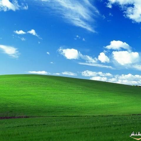 1990anoar1406's profile picture. 