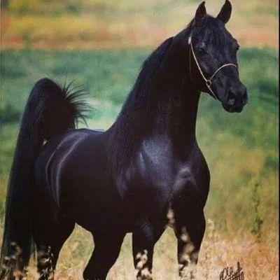 ‏‏‏‏‏‏ﻻ اله اﻻ الله اللهم صل وسلم على سيدنا محمد