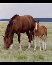 JoannaP1977's profile picture. 