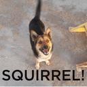 Erin Spence - @reeniebeanster - Twitter